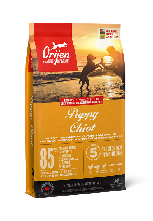 Chiot